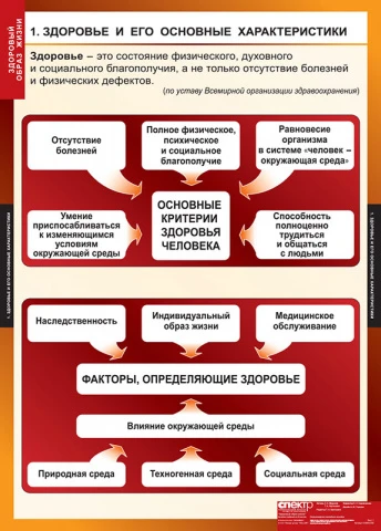 Учебный альбом из 8 листов <ОБЖ Здоровый образ жизни>, изд. Спектр